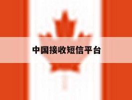 中国接收短信平台