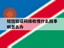 短信验证码接收慢什么回事啊怎么办
