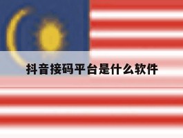 抖音接码平台是什么软件