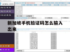新加坡手机验证码怎么输入出来