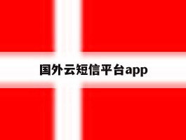 国外云短信平台app的简单介绍