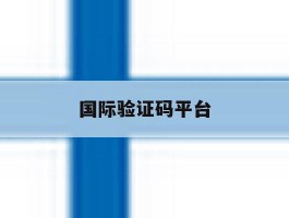 国际验证码平台