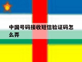 中国号码接收短信验证码怎么弄