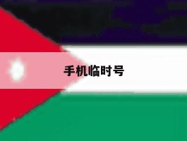 手机临时号