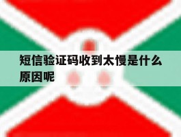 短信验证码收到太慢是什么原因呢