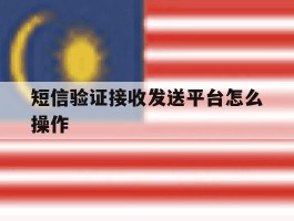 短信验证接收发送平台怎么操作