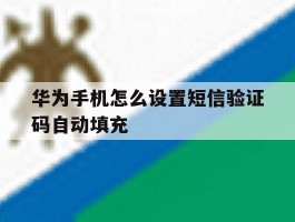 华为手机怎么设置短信验证码自动填充
