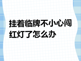 临时号牌管理规定