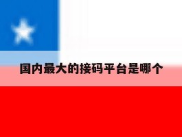 国内最大的接码平台是哪个