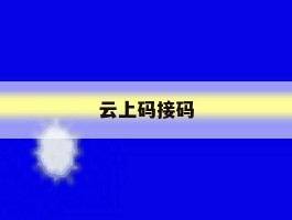 云上码接码