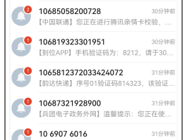 苹果手机短信验证码自动删除