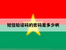 短信验证码的密码是多少啊
