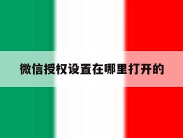 微信授权设置在哪里打开的