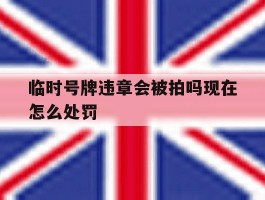 临时号牌违章会被拍吗现在怎么处罚