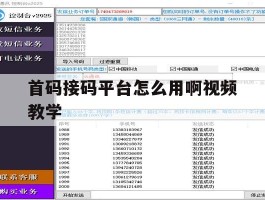 首码接码平台怎么用啊视频教学