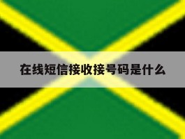 在线短信接收接号码是什么