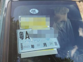 临时号牌最长多长时间办理好啊