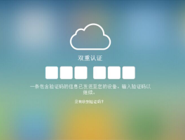 验证码平台接收短信怎么设置密码