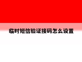 临时短信验证接码怎么设置