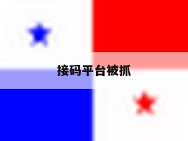 接码平台被抓