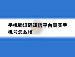 手机验证码短信平台真实手机号怎么填