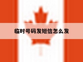 临时号码发短信怎么发