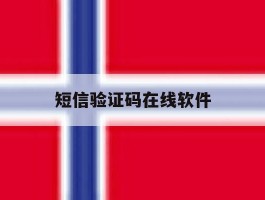 短信验证码在线软件