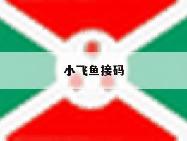 小飞鱼接码