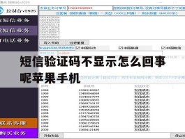 短信验证码不显示怎么回事呢苹果手机