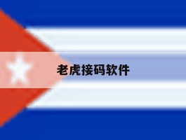 老虎接码软件