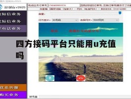 四方接码平台只能用u充值吗的简单介绍