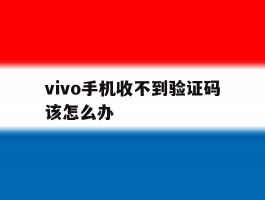 vivo手机收不到验证码该怎么办