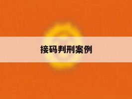 接码判刑案例