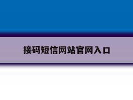 接码短信网站官网入口