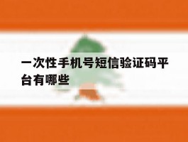 一次性手机号短信验证码平台有哪些