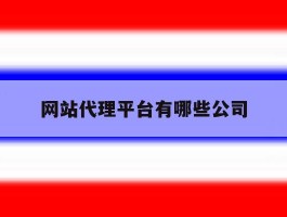 网站代理平台有哪些公司
