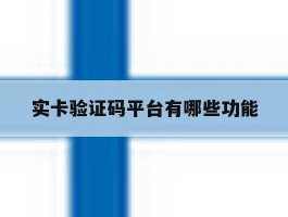 实卡验证码平台有哪些功能
