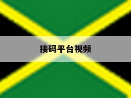 接码平台视频