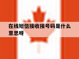 在线短信接收接号码是什么意思呀