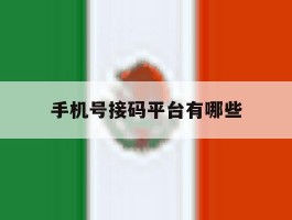 手机号接码平台有哪些