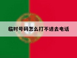临时号码怎么打不进去电话