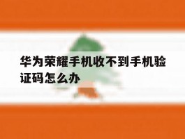 华为荣耀手机收不到手机验证码怎么办