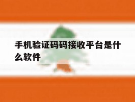 手机验证码码接收平台是什么软件
