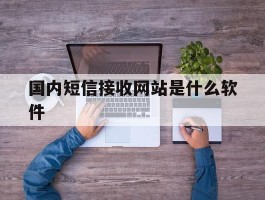 国内短信接收网站是什么软件