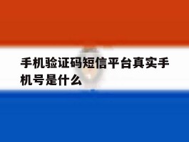手机验证码短信平台真实手机号是什么