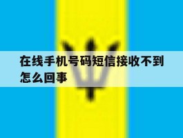 在线手机号码短信接收不到怎么回事