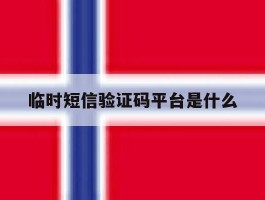 临时短信验证码平台是什么