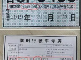 临时号牌几天到期怎么查