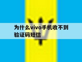 为什么vivo手机收不到验证码短信