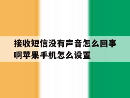 包含接收短信没有声音怎么回事啊苹果手机怎么设置的词条